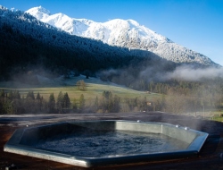 Chalet-Cannelle