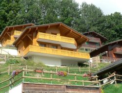 Chalet Chantecler Chatel