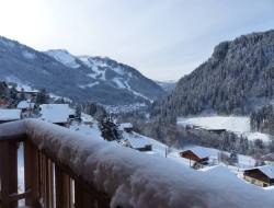Chalet Petit Loup Chatel