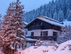 Ski Retreat - Chalet La Fontaine